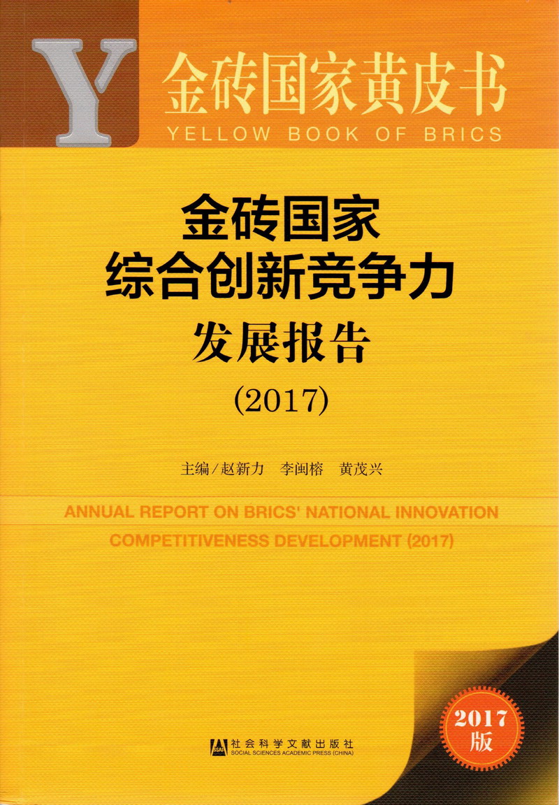 一起草网站黄色金砖国家综合创新竞争力发展报告（2017）